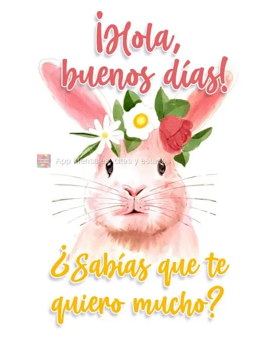 ¡Hola, buenos días! ¿Sabías que te quiero mucho?