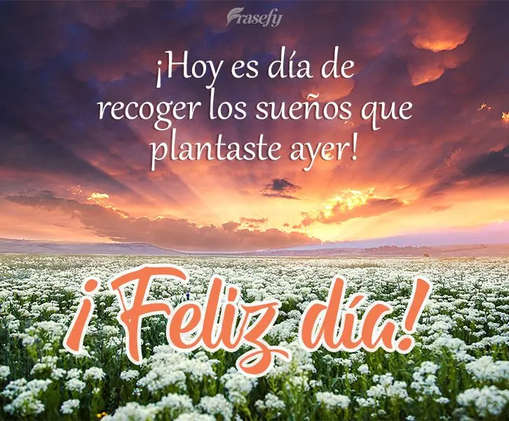 ¡Hoy es día de recoger los sueños que plantaste ayer! ¡Feliz día!