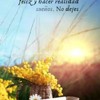 Hoy es un nuevo día, una nueva oportunidad para ser feliz y hacer realidad tus sueños. No dejes que nada te impida alcanzar tus objetivos. Cree en ti m...