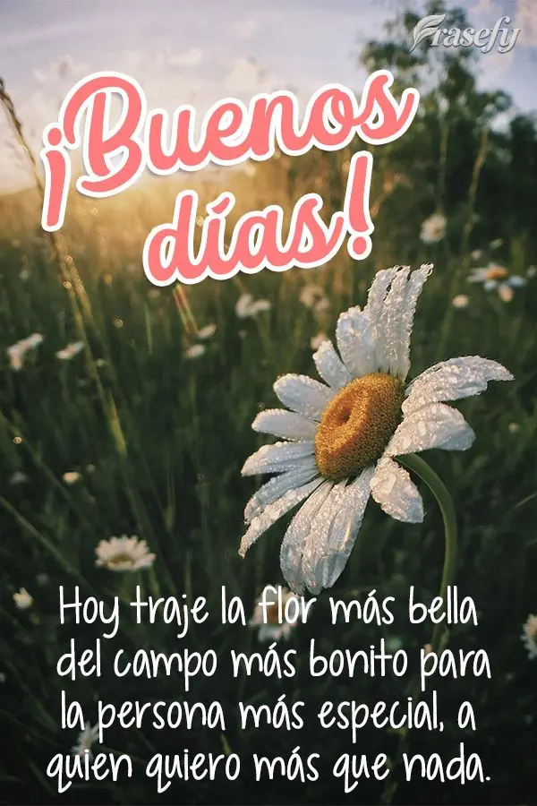 Hoy traje la flor más bella del campo más bonito para la persona más especial, a quien quiero más que nada. ¡Buenos días!