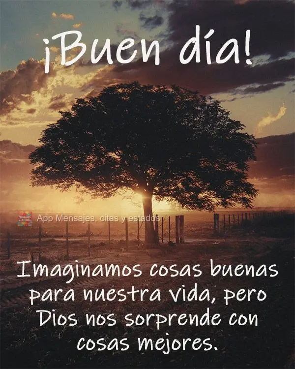 Imaginamos cosas buenas para nuestra vida, pero Dios nos sorprende con cosas mejores. ¡Buen día!