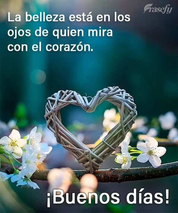 La belleza está en los ojos de quien mira con el corazón. ¡Buenos días!