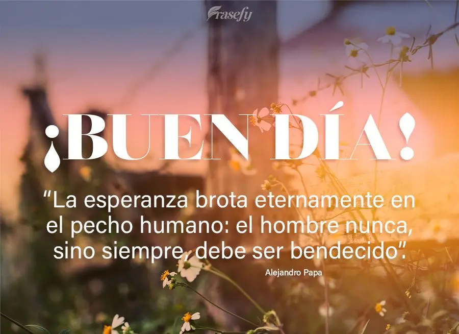 “La esperanza brota eternamente en el pecho humano: el hombre nunca, sino siempre, debe ser bendecido”. ¡Buen día! Alejandro Papa