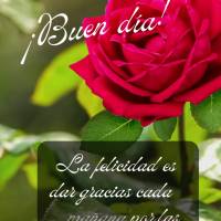 La felicidad es dar gracias cada mañana por las bendiciones de Dios. ¡Buen día!