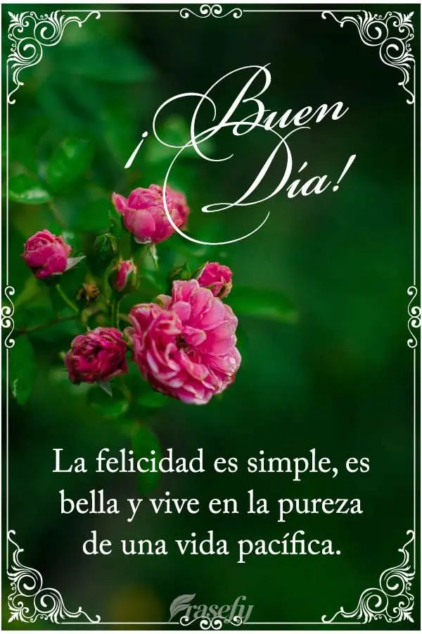 La felicidad es simple, es bella y vive en la pureza de una vida tranquila. ¡Buen día!