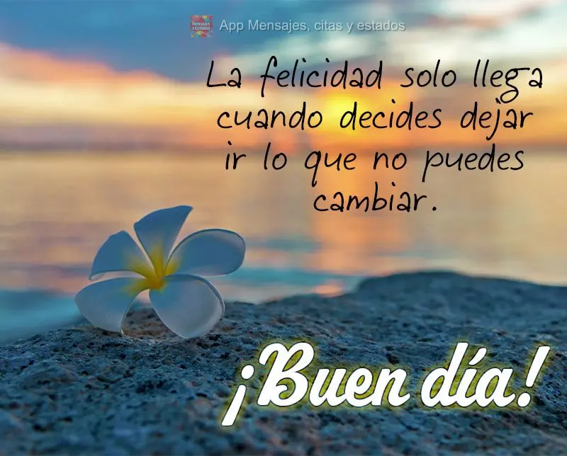 La felicidad solo llega cuando decides dejar ir lo que no puedes cambiar. ¡Buen día!