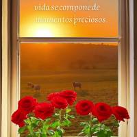 La luz del sol que entra por la ventana es un recordatorio de que la vida se compone de momentos preciosos. Disfruta cada momento de tu día y no olvides...