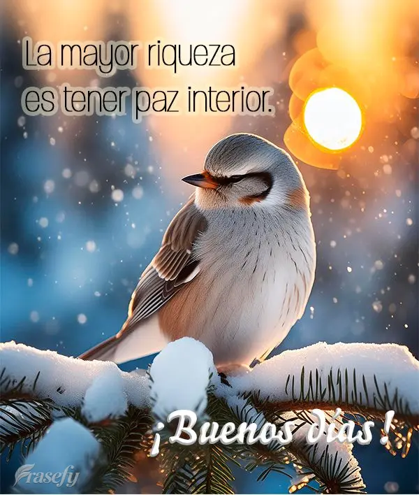 La mayor riqueza es tener paz interior. ¡Buenos días!