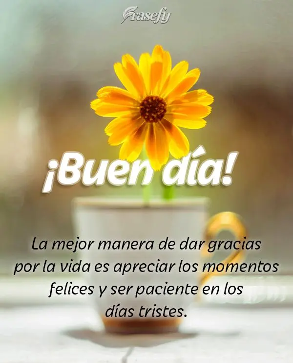 La mejor manera de dar gracias por la vida es apreciar los momentos felices y ser paciente en los días tristes. ¡Buen día!