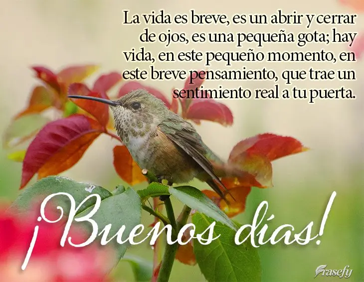 La vida es breve, es un abrir y cerrar de ojos, es una pequeña gota; hay vida, en este pequeño momento, en este breve pensamiento, que trae un sentimie...
