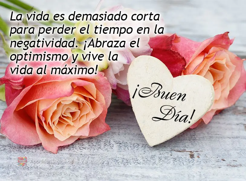 La vida es demasiado corta para perder el tiempo en la negatividad. ¡Abraza el optimismo y vive la vida al máximo! ¡Buen día!