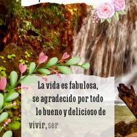 La vida es fabulosa, se agradecido por todo lo bueno y delicioso de vivir, ser feliz es vivir completamente agradecido! ¡Buen día!
