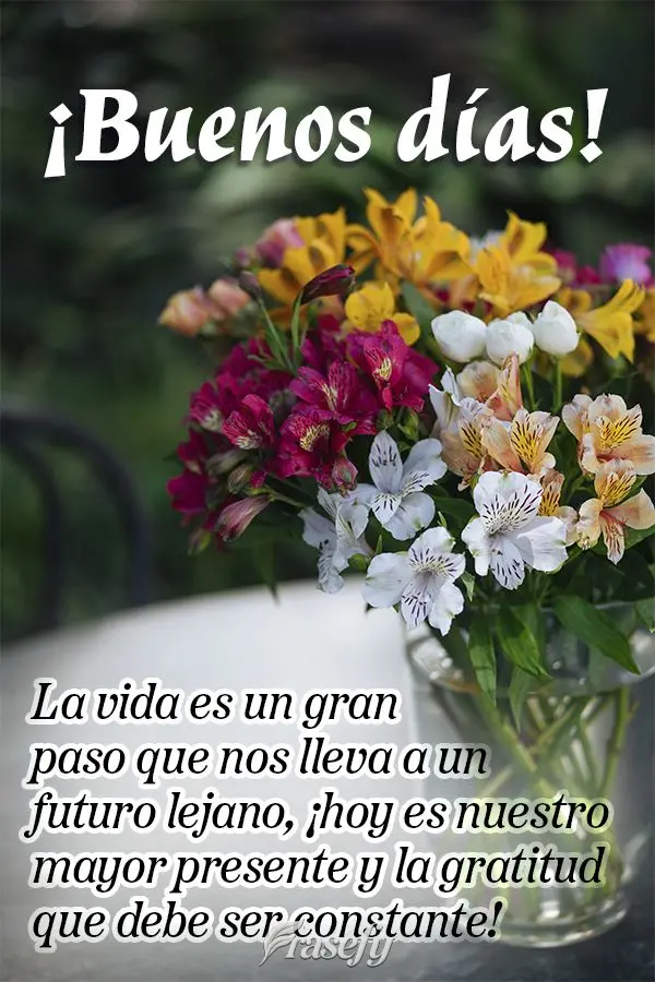 La vida es un gran paso que nos lleva a un futuro lejano, ¡hoy es nuestro mayor presente y la gratitud que debe ser constante! ¡Buenos días!