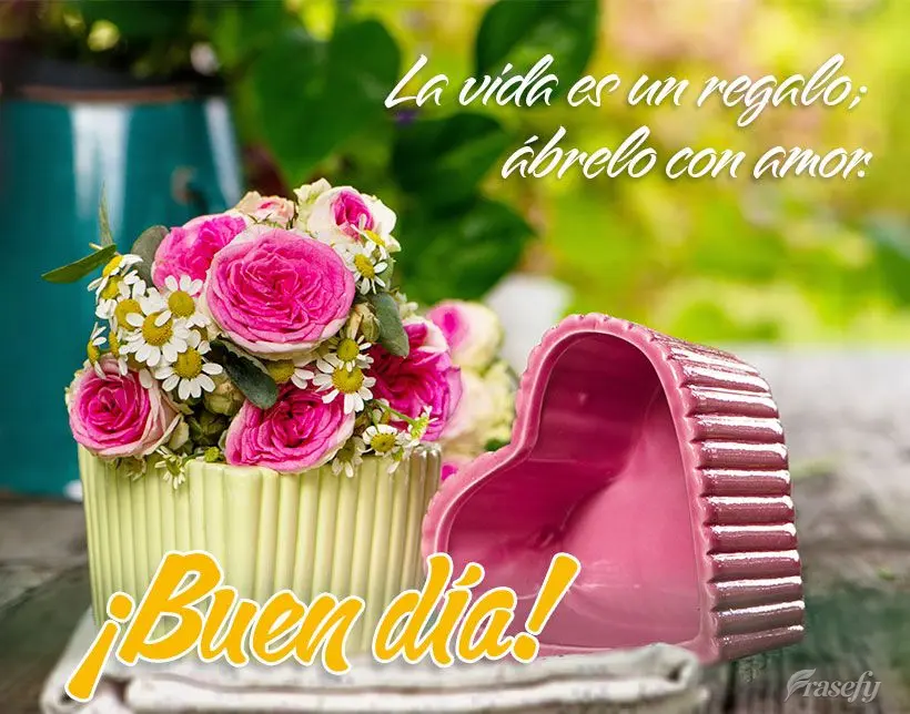 La vida es un regalo; ábrelo con amor. ¡Buen día!
