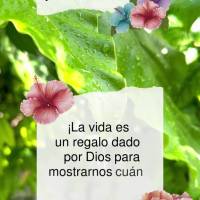 ¡La vida es un regalo dado por Dios para mostrarnos cuán grande es su amor por nosotros! ¡Buen día!