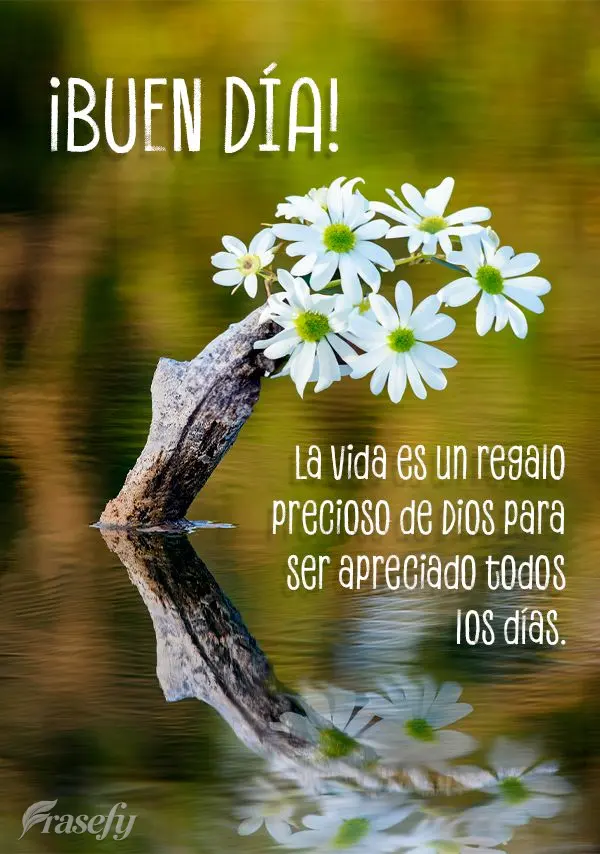 La vida es un regalo precioso de Dios para ser apreciado todos los días. ¡Buen día!