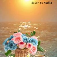 La vida es un regalo precioso y cada día es una nueva oportunidad para hacer algo bueno y dejar tu huella en el mundo. No desperdicies esta oportunidad ...