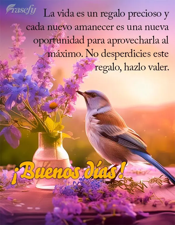 La vida es un regalo precioso y cada nuevo amanecer es una nueva oportunidad para aprovecharla al máximo. No desperdicies este regalo, hazlo valer. ¡Bu...