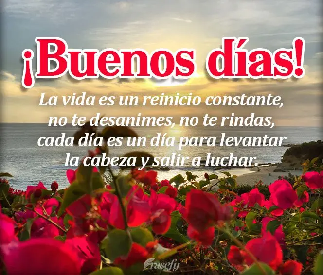 La vida es un reinicio constante, no te desanimes, no te rindas, cada día es un día para levantar la cabeza y salir a luchar. ¡Buenos días!