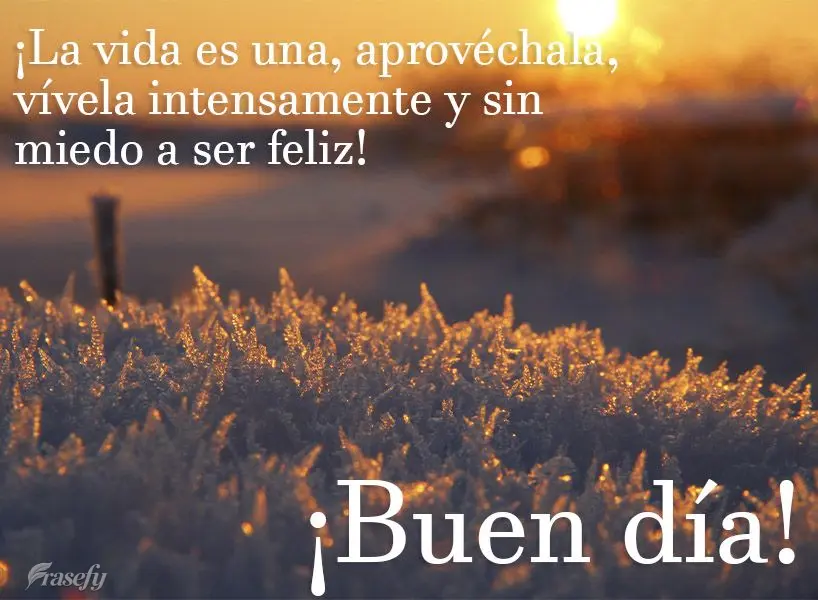 ¡La vida es una, aprovéchala, vívela intensamente y sin miedo a ser feliz! ¡Buen día!