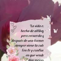 "La vida está hecha de altibajos, pero recuerda que después de una tormenta siempre viene la calma. Ten fe y confianza en que vendrán días mejores." ...