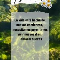 La vida está hecha de nuevos comienzos, necesitamos permitirnos vivir nuevos días, abrazar nuevas oportunidades, iniciar nuevos planes y no perder la f...