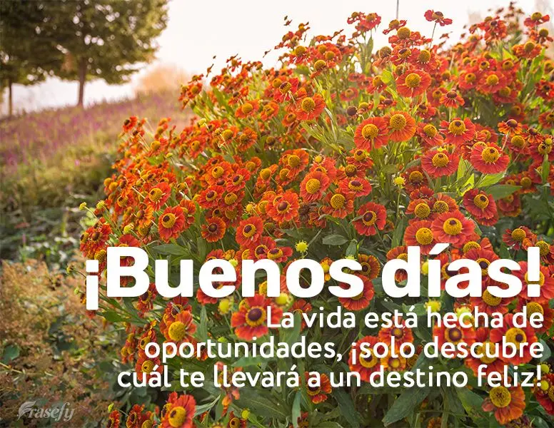 La vida está hecha de oportunidades, ¡solo descubre cuál te llevará a un destino feliz! ¡Buenos días!