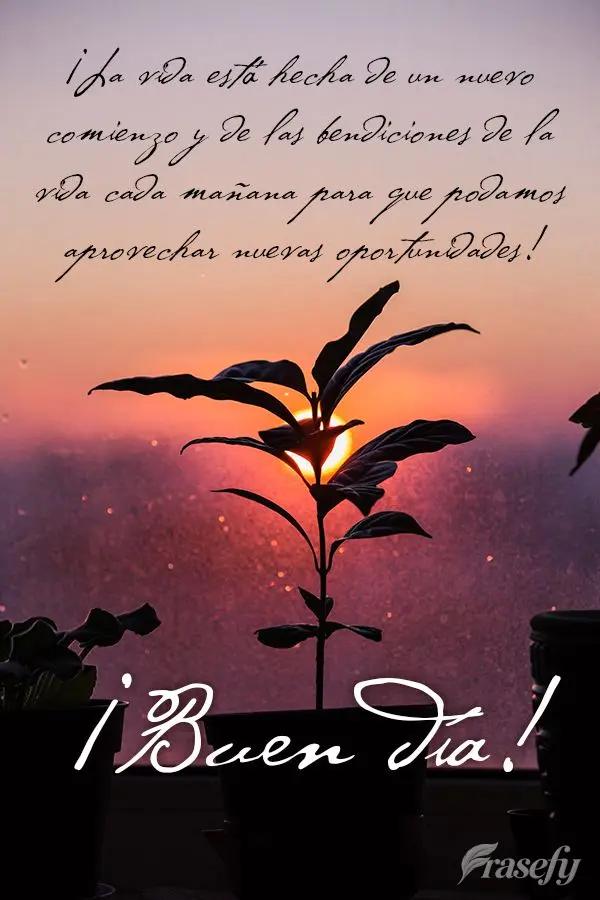 ¡La vida está hecha de un nuevo comienzo y de las bendiciones de la vida cada mañana para que podamos aprovechar nuevas oportunidades! ¡Buen día!