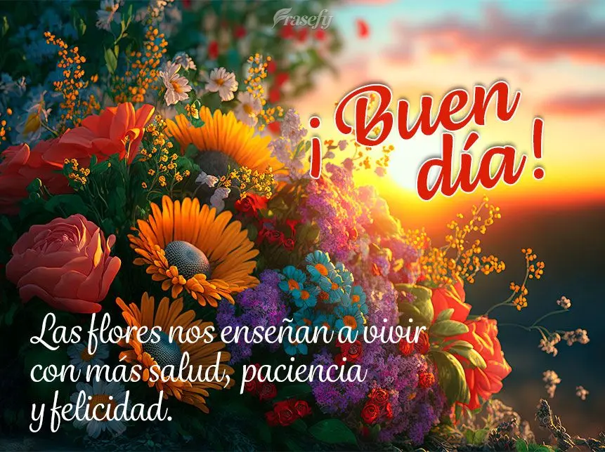 Las flores nos enseñan a vivir con más salud, paciencia y felicidad. ¡Buen día!