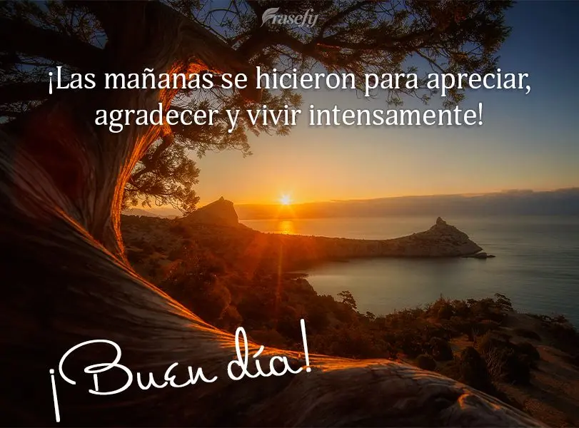 ¡Las mañanas se hicieron para apreciar, agradecer y vivir intensamente! ¡Buen día!