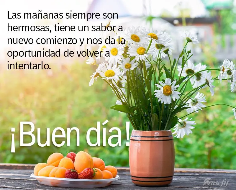 Las mañanas siempre son hermosas, tiene un sabor a nuevo comienzo y nos da la oportunidad de volver a intentarlo. ¡Buen día!