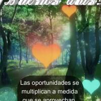 Las oportunidades se multiplican a medida que se aprovechan. Comience hoy. ¡Buenos días!
