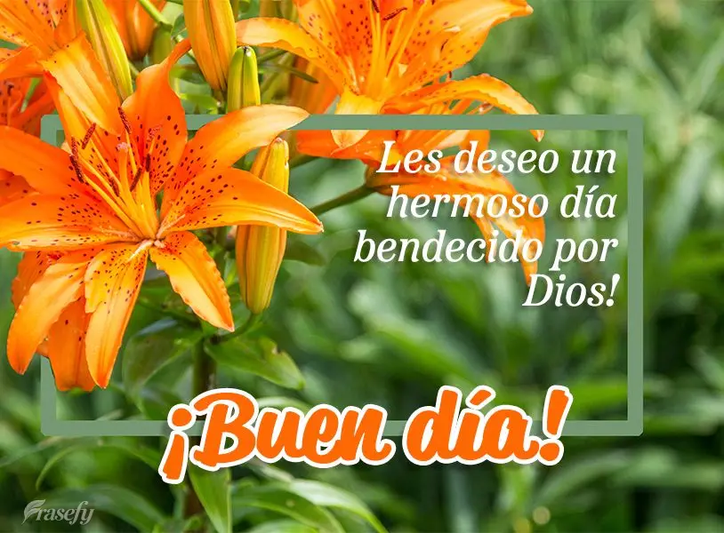 Les deseo un hermoso día bendecido por Dios! ¡Buen día!
