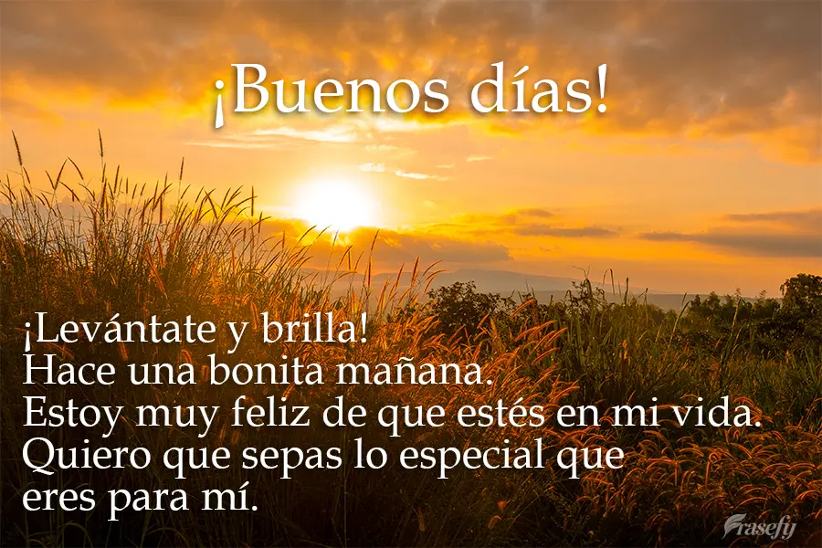 ¡Levántate y brilla! Hace una bonita mañana. Estoy muy feliz de que estés en mi vida. Quiero que sepas lo especial que eres para mí. ¡Buenos días!...