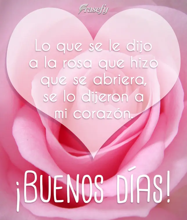 Lo que se le dijo a la rosa que hizo que se abriera, se lo dijeron a mi corazón. ¡Buenos días!