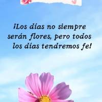 ¡Los días no siempre serán flores, pero todos los días tendremos fe! ¡Buen día! 
