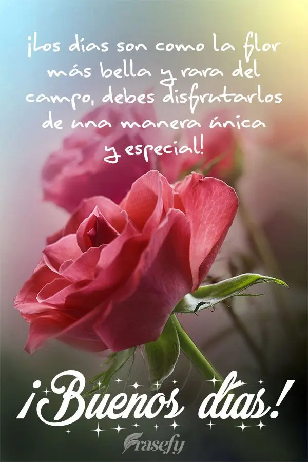 ¡Los días son como la flor más bella y rara del campo, debes disfrutarlos de una manera única y especial! ¡Buenos días!