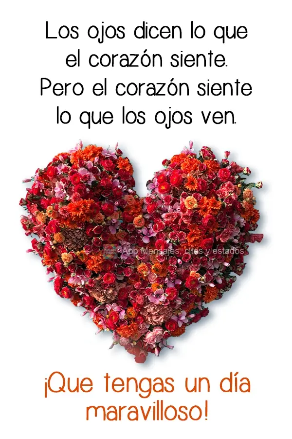 Los ojos dicen lo que el corazón siente. Pero el corazón siente lo que los ojos ven. ¡Que tengas un día maravilloso!