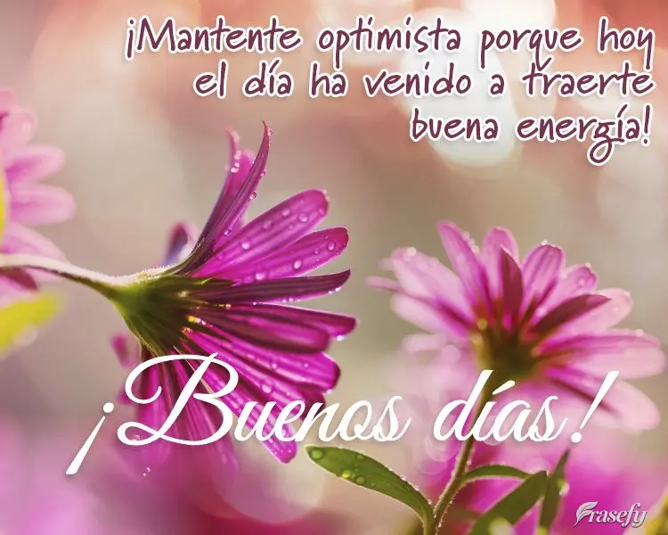 ¡Mantente optimista porque hoy el día ha venido a traerte buena energía! ¡Buenos días!
