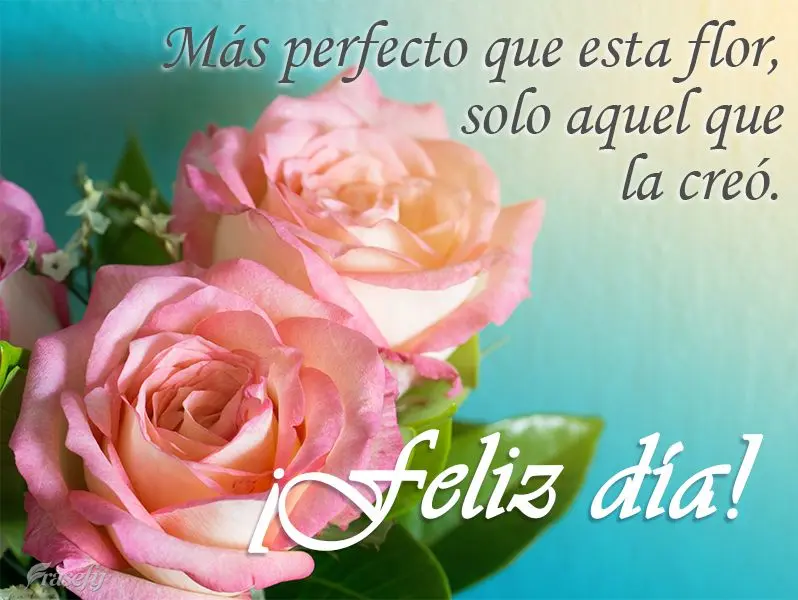 Más perfecto que esta flor, solo aquel que la creó. ¡Feliz día!
