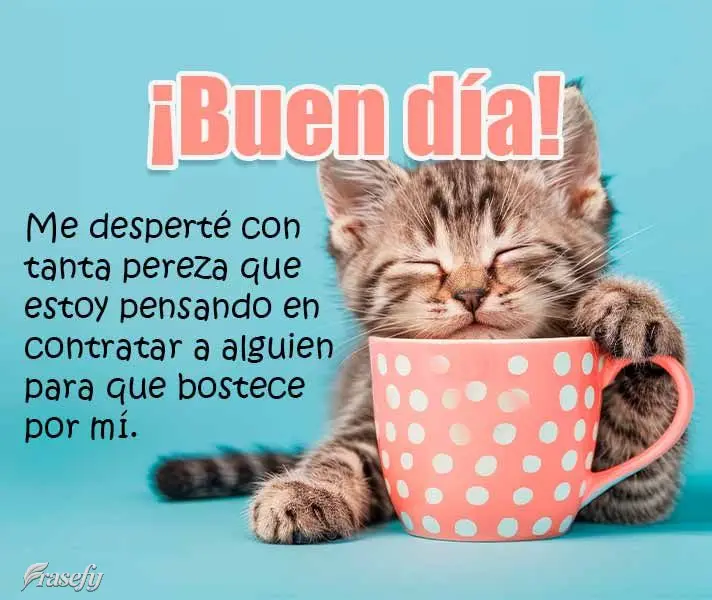 Me desperté con tanta pereza que estoy pensando en contratar a alguien para que bostece por mí. ¡Buen día!