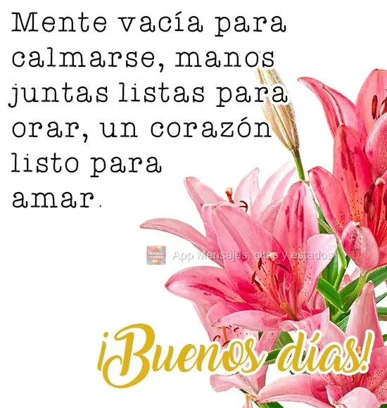 Mente vacía para calmarse, manos juntas listas para orar, un corazón listo para amar. ¡Buenos días!