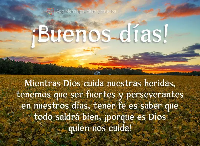 Mientras Dios cuida nuestras heridas, tenemos que ser fuertes y perseverantes en nuestros días, tener fe es saber que todo saldrá bien, ¡porque es Dio...