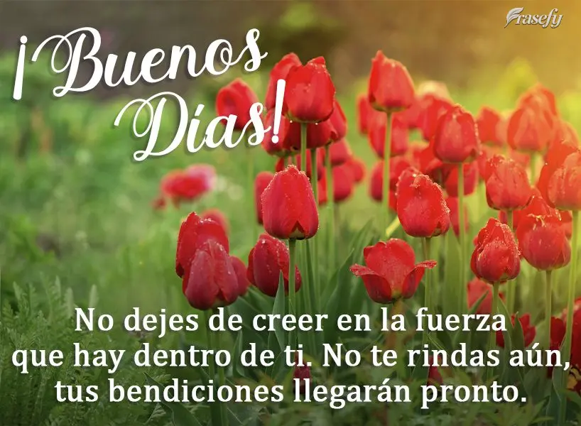 No dejes de creer en la fuerza que hay dentro de ti. No te rindas aún, tus bendiciones llegarán pronto. ¡Buenos días!