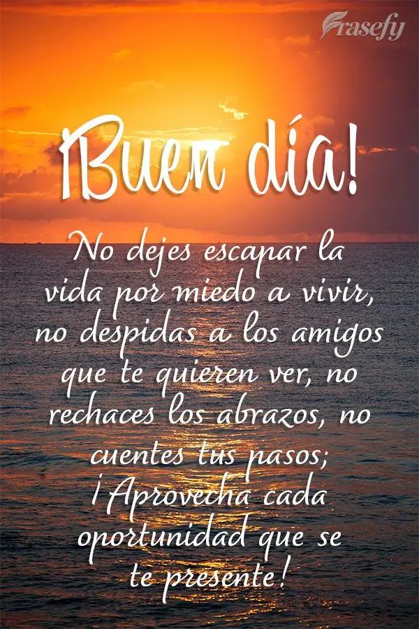 No dejes escapar la vida por miedo a vivir, no despidas a los amigos que te quieren ver, no rechaces los abrazos, no cuentes tus pasos; ¡Aprovecha cada ...