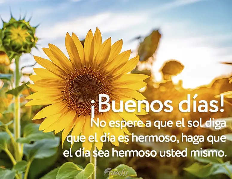 No espere a que el sol diga que el día es hermoso, haga que el día sea hermoso usted mismo. ¡Buenos días!