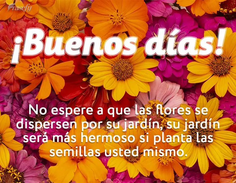 No espere a que las flores se dispersen por su jardín, su jardín será más hermoso si planta las semillas usted mismo. ¡Buenos días!