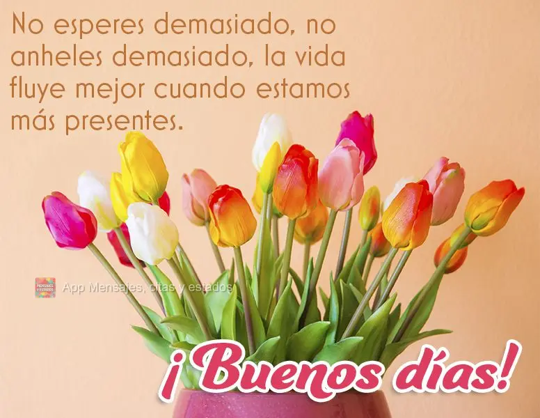 No esperes demasiado, no anheles demasiado, la vida fluye mejor cuando estamos más presentes. ¡Buenos días!