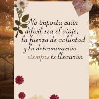 No importa cuán difícil sea el viaje, la fuerza de voluntad y la determinación siempre te llevarán al éxito. ¡Que tengas una mañana llena de coraj...