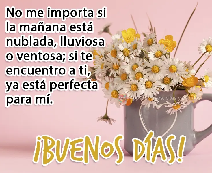 No me importa si la mañana está nublada, lluviosa o ventosa; si te encuentro a ti, ya está perfecta para mí. ¡Buenos días!